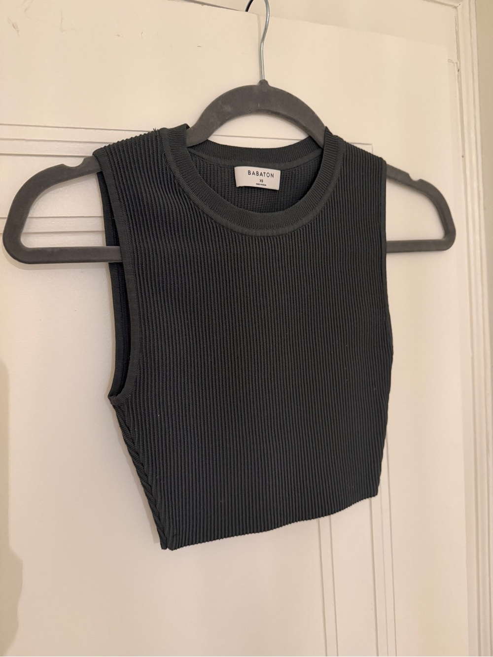 Aritzia Charcoal Ribbed Sleeveless Crop Tank